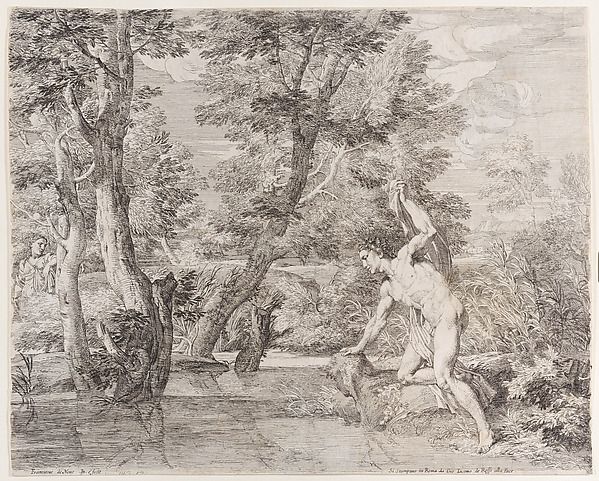 Frans van der Neve, Narcissus and Echo