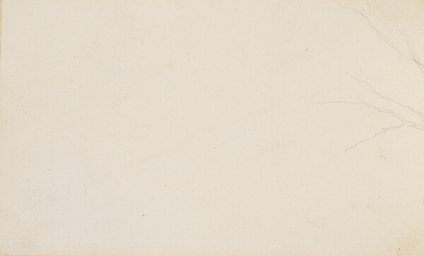P.C. Skovgaard, Del af et træstudie (fra side 28)