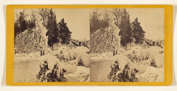 Edward and Henry T. Anthony & Co., A Snow Effect on Luna Island.