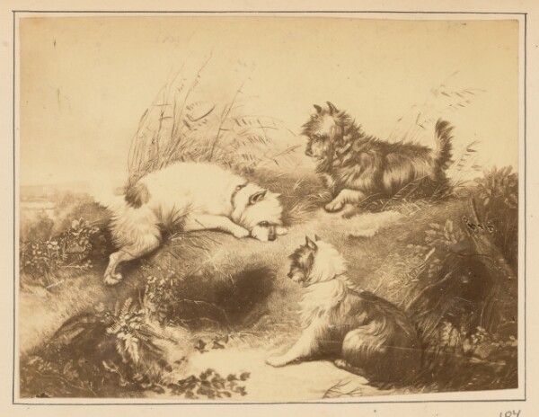 Unknown, [Painting of Dogs]