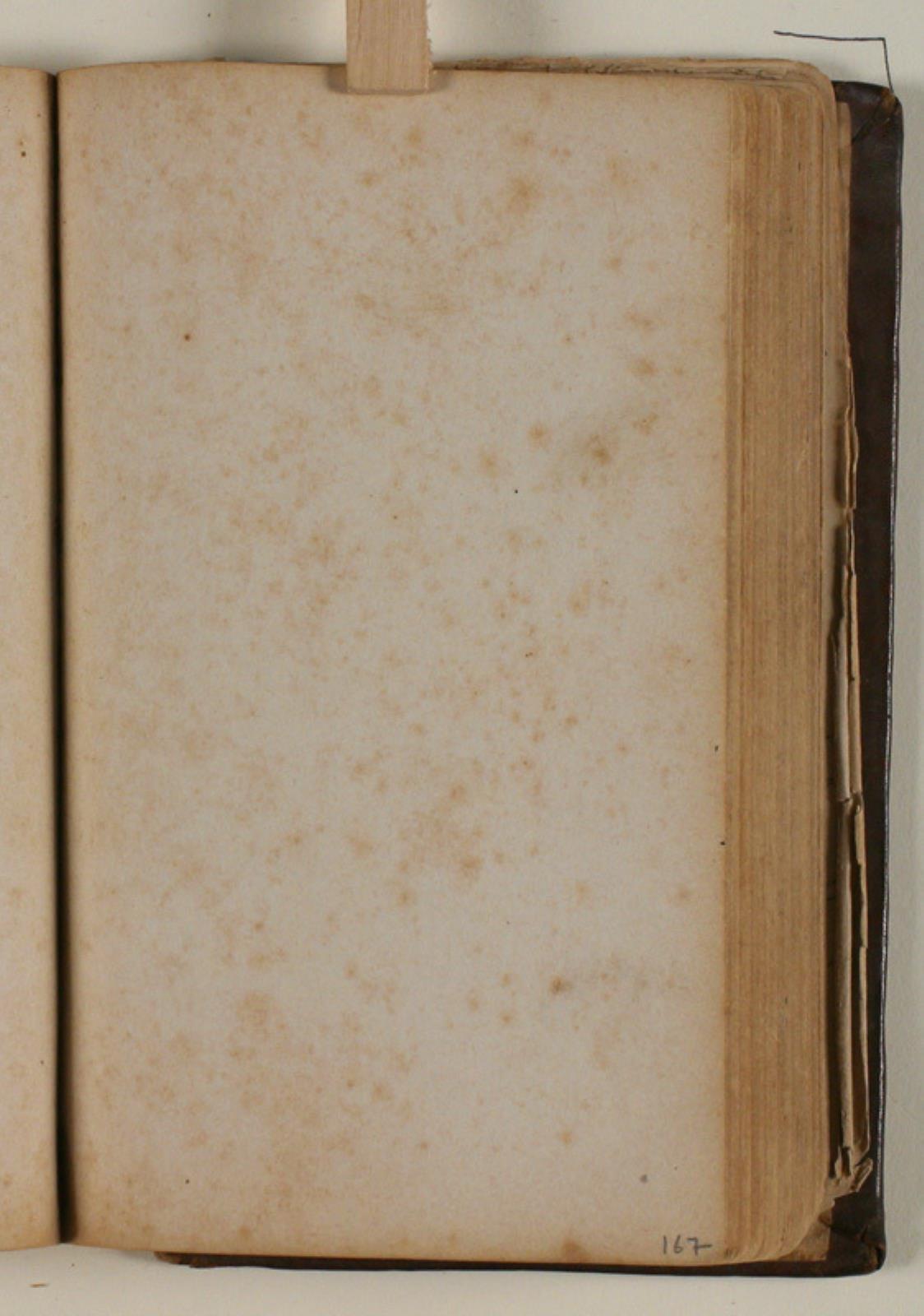 Niels Larsen Stevns, Blank