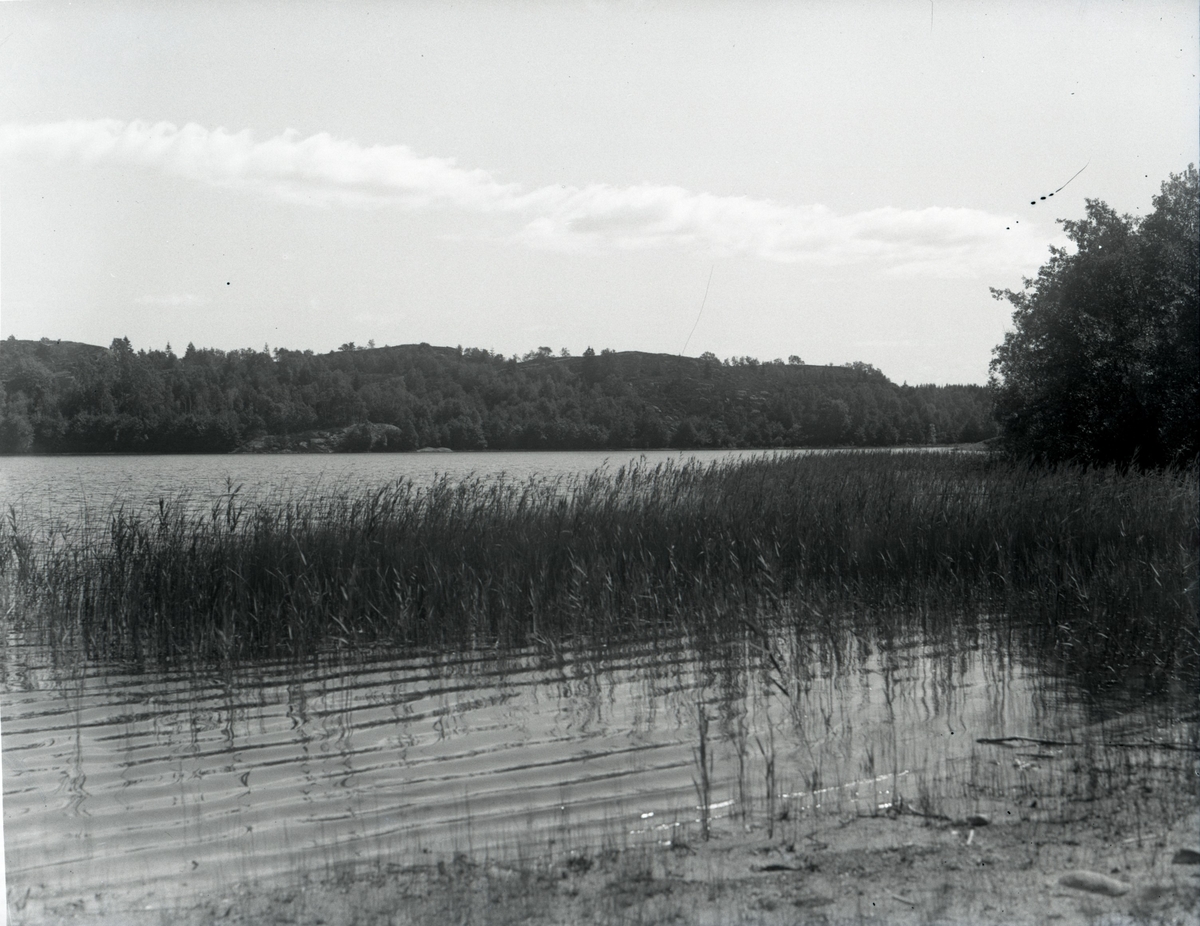 Oscar Färdig, Viksjön.