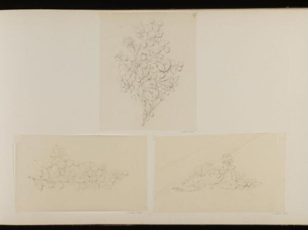 Christofle, Charles, Drawing