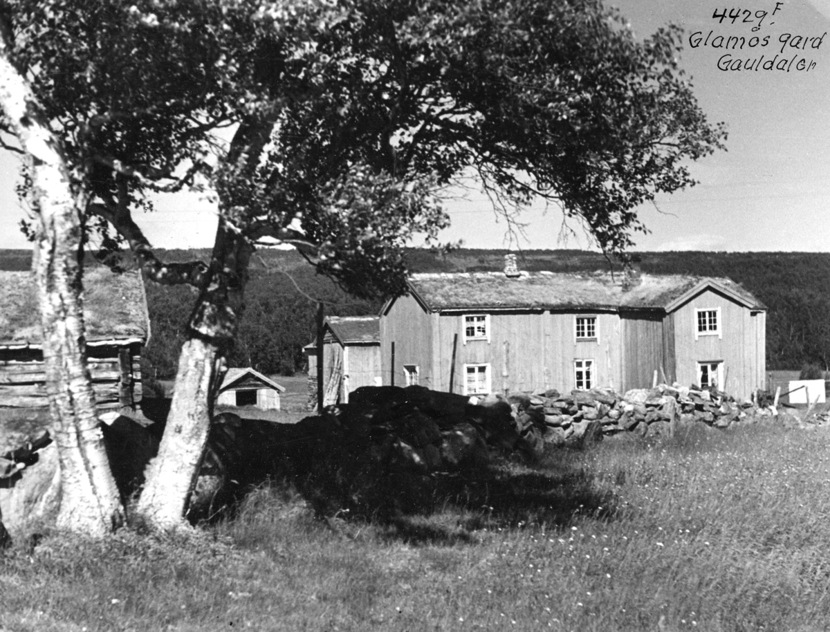 Anders Beer Wilse, Topografi