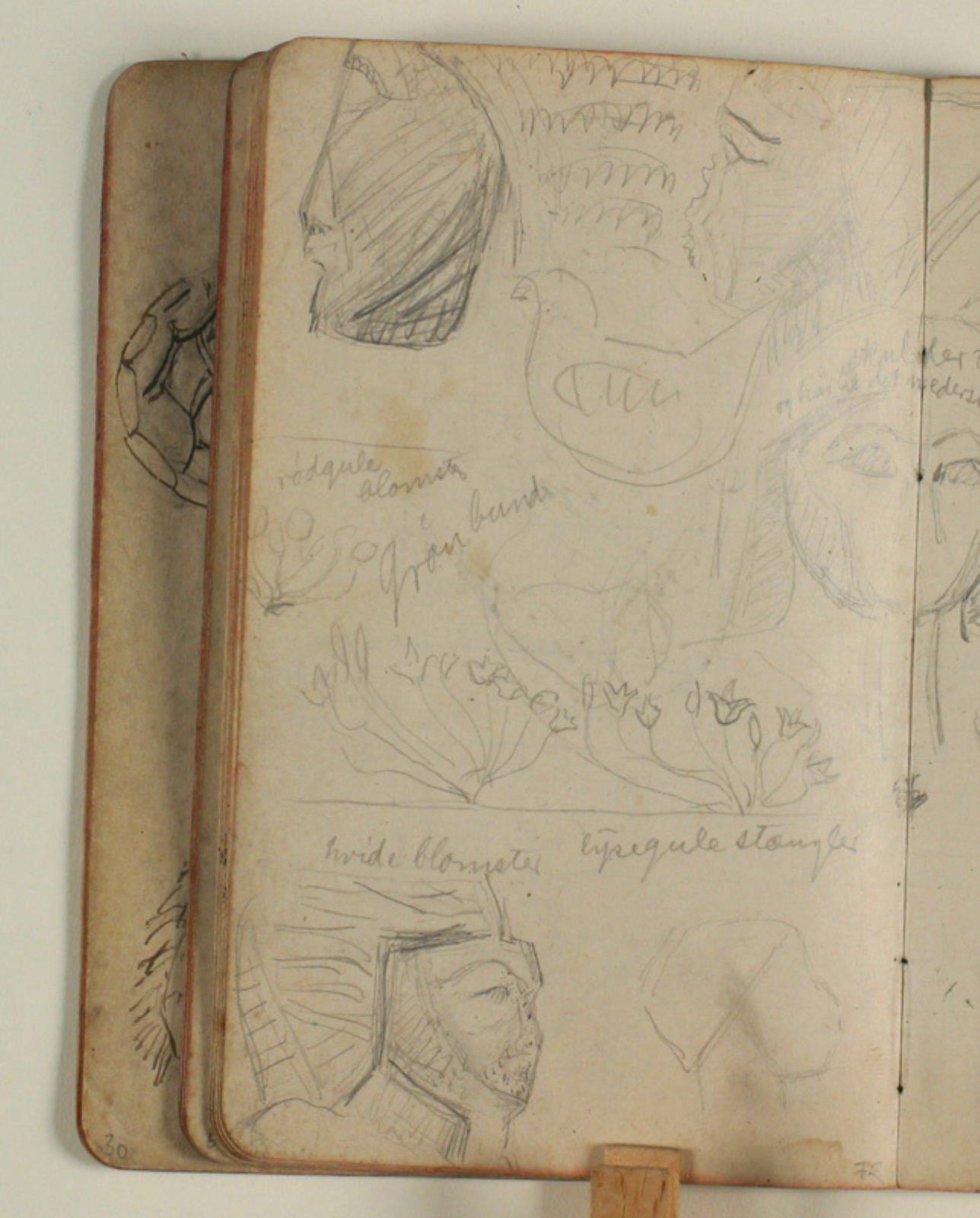 Niels Larsen Stevns, Studier af ægyptiske statuehoveder og blomster med farveangivelser