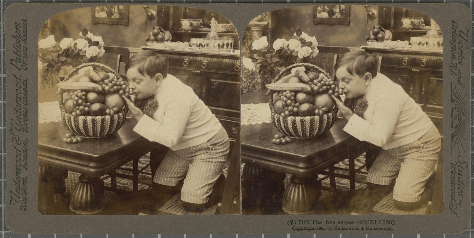 Desconegut, The five senses- Smelling Underwood&Underwood Publishers