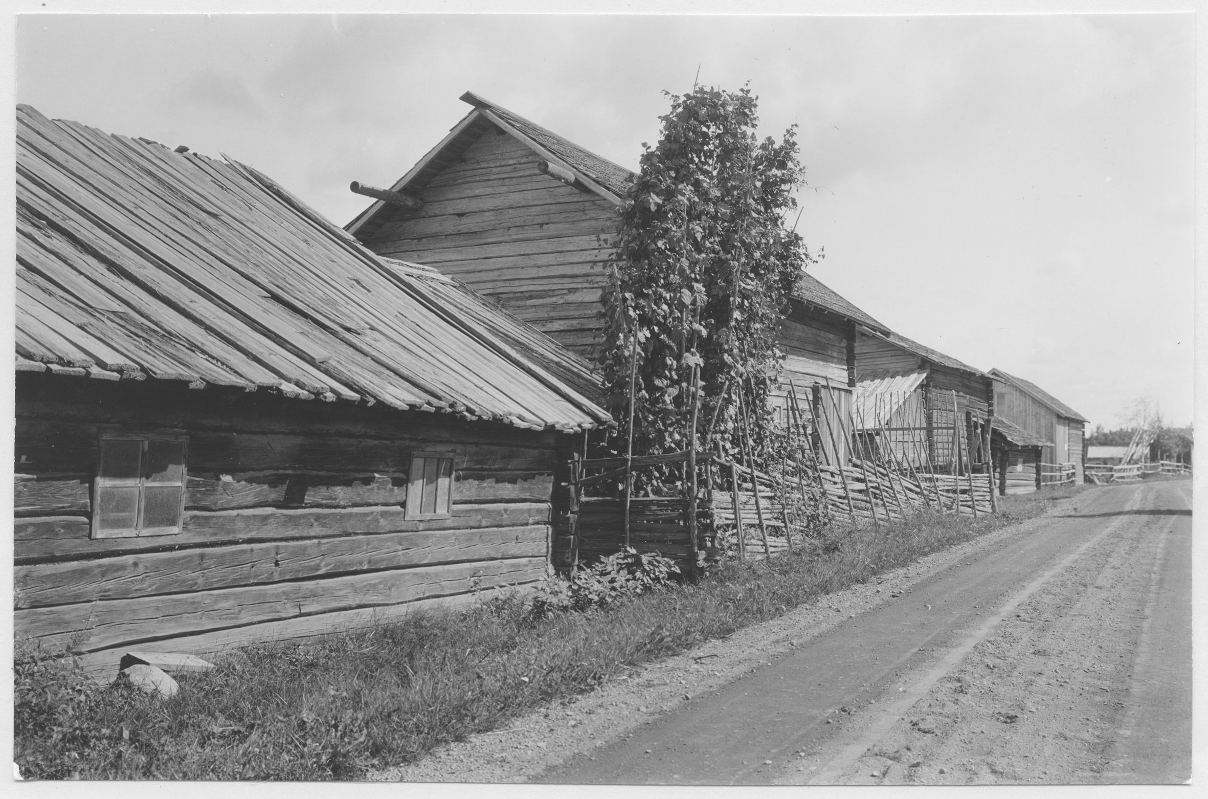 Mårten Sjöbeck, Björka fäbod