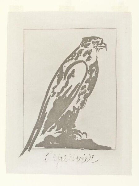 Pablo Picasso, Histoire Naturelle