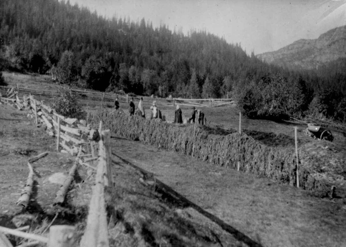 Ukjent, Fra en serie fotografier fra et album som har tilhørt folklorist og professor Moltke Moe (1859-1913), antatt fra 1880-årene med motiver fra Telemark.