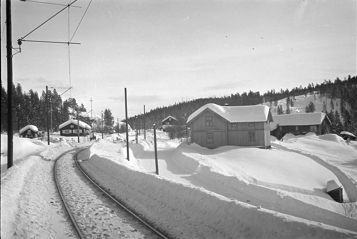 Anders Beer Wilse, Konv: Leica Statsbanene