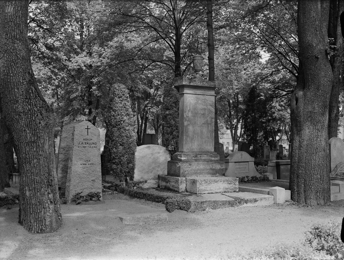 Paul Sandberg, Uppsala gamla kyrkogård, Kungsgärdet, Uppsala 1950
