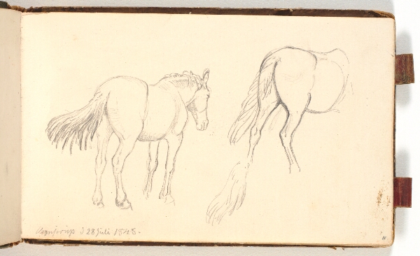 P.C. Skovgaard, Hestestudier
