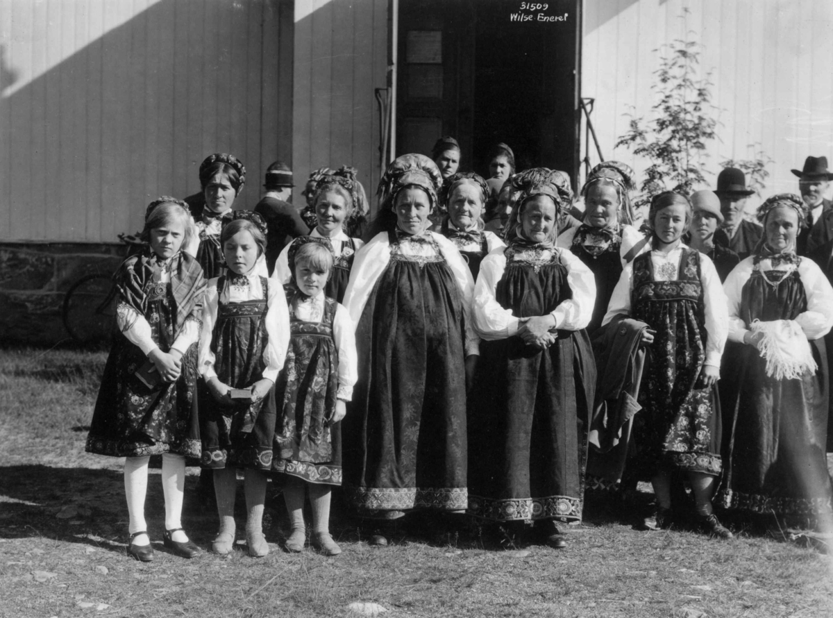 Anders Beer Wilse, Hallingdrakter, Buskerud