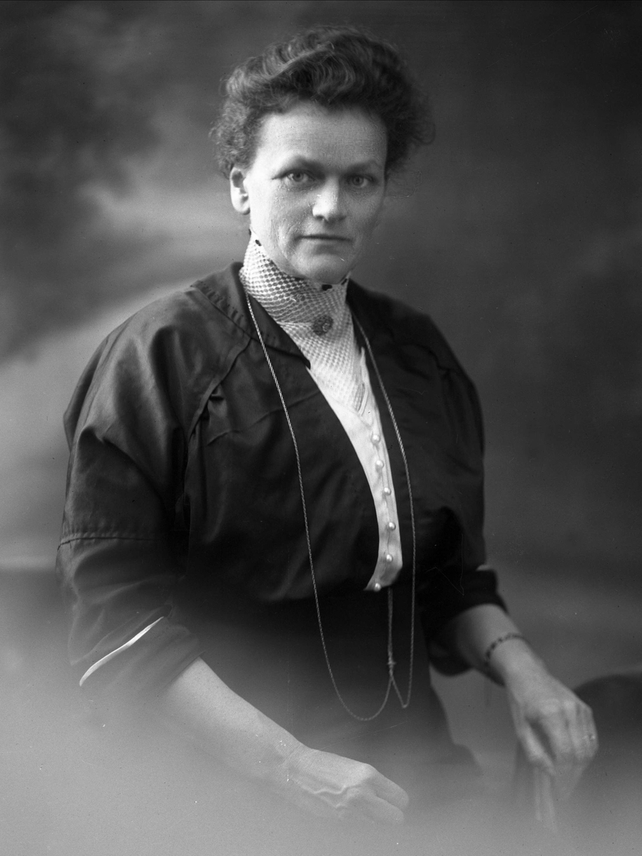 Gustav Borgen, NFB.33329