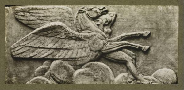unknown, Photograph