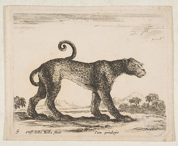 Stefano della Bella, Plate 9: Leopard, from "Various animals" (Diversi animali)