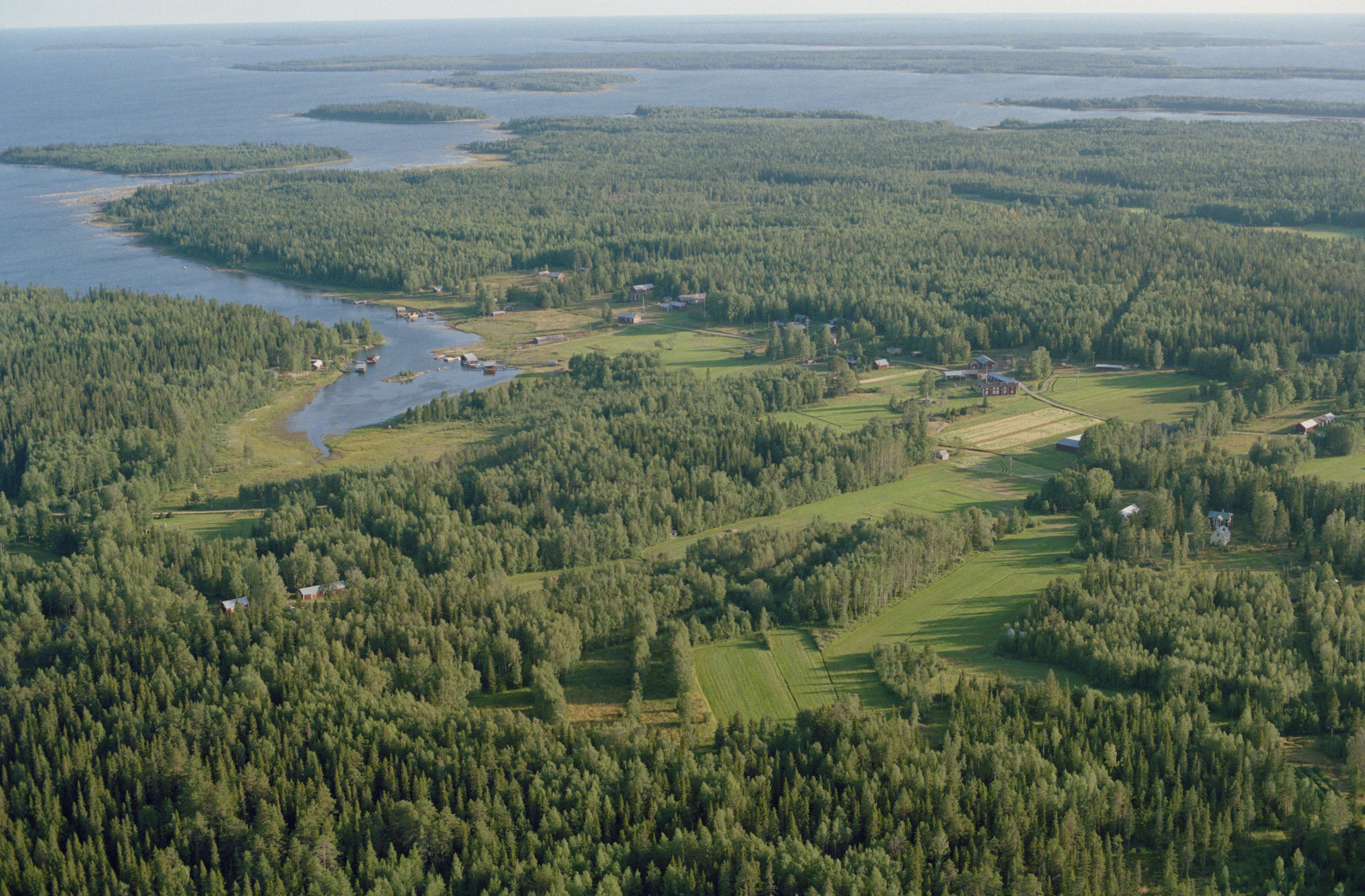 Jan Norrman, Nederluleå 1031:1