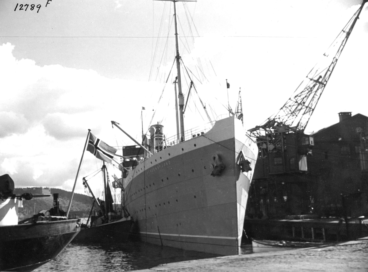 Anders Beer Wilse, Turistskip
