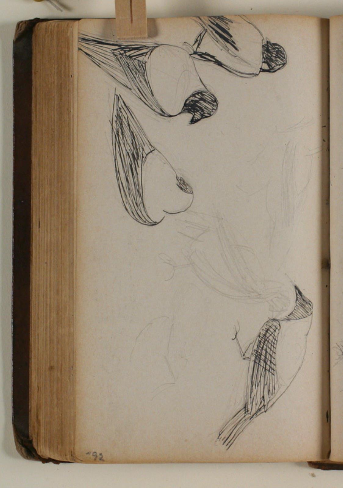 Niels Larsen Stevns, Studier af krager