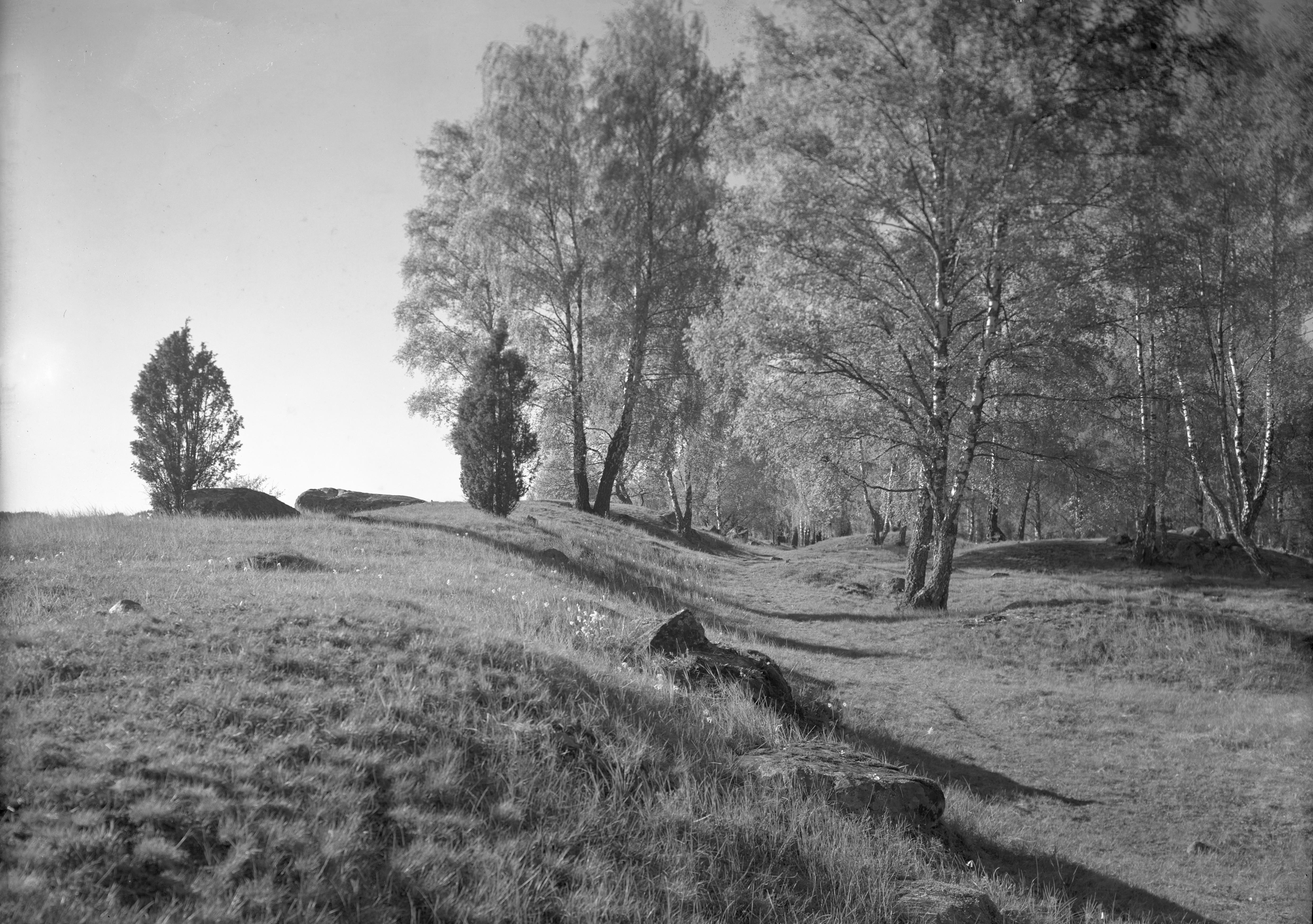 Nils Lagergren, Björkö-Birka
