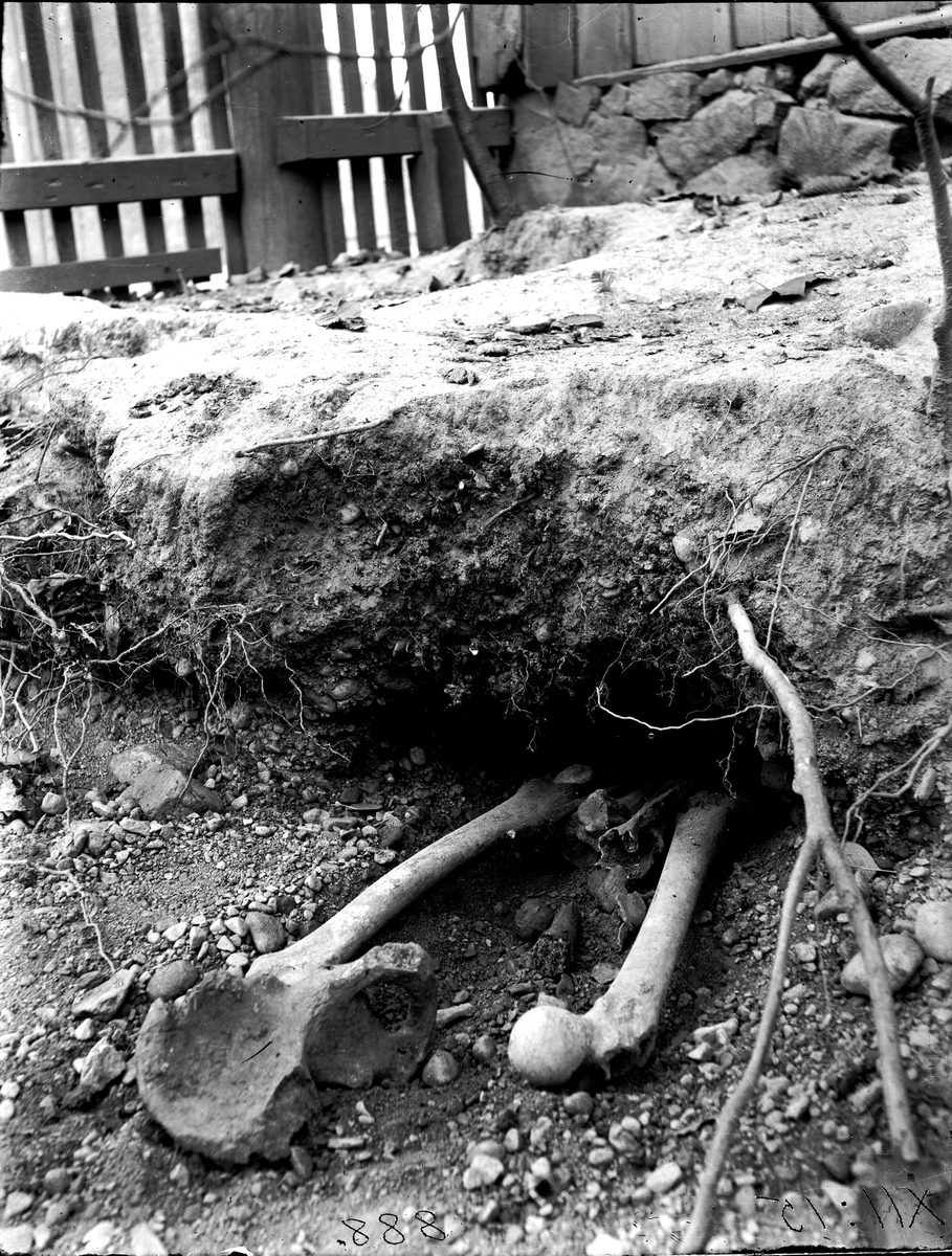 Ellert Johan Viktor Sörman, Medeltida gravar. Foto år 1922. Fotograf Sörman.