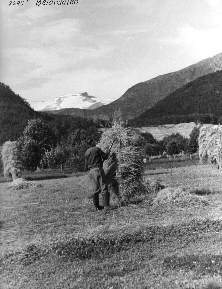 Anders Beer Wilse, Topografi