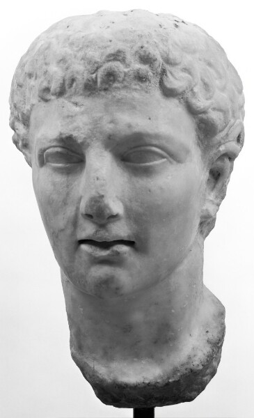Unknown, Portrait Head of Youth