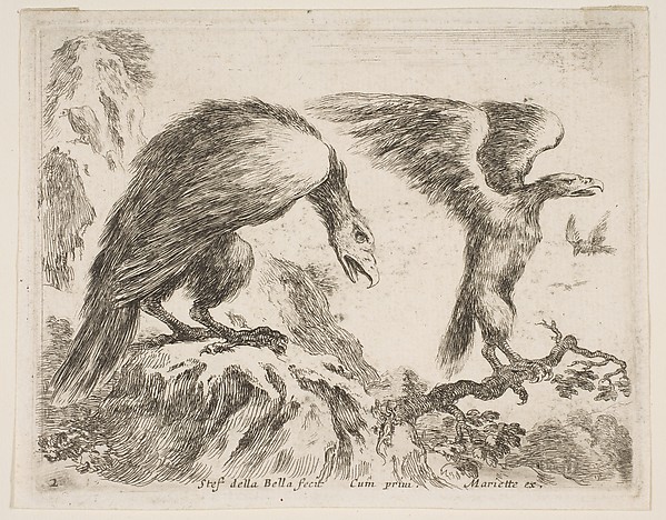 Stefano della Bella, Eagle and eaglet, plate 2 from "Various Animals" (Diversi Animali)