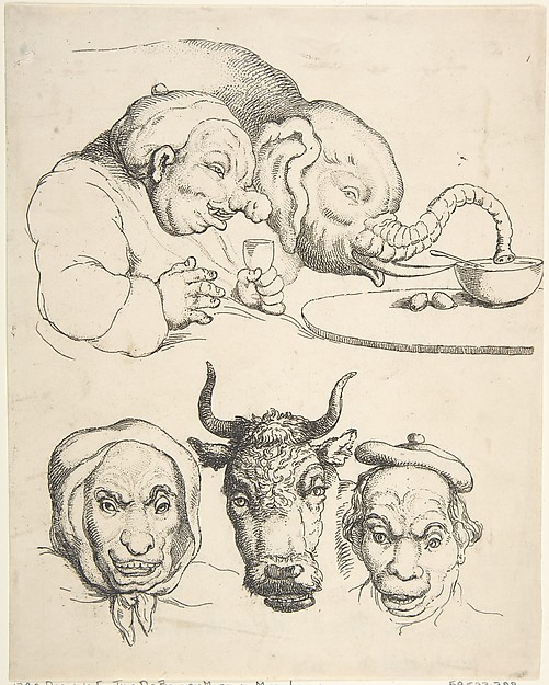 Thomas Rowlandson, Comparative Anatomy
