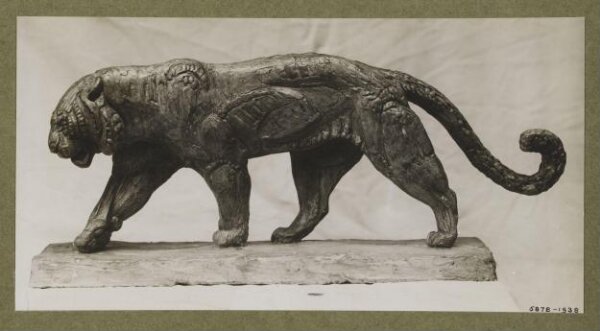 unknown, Photograph