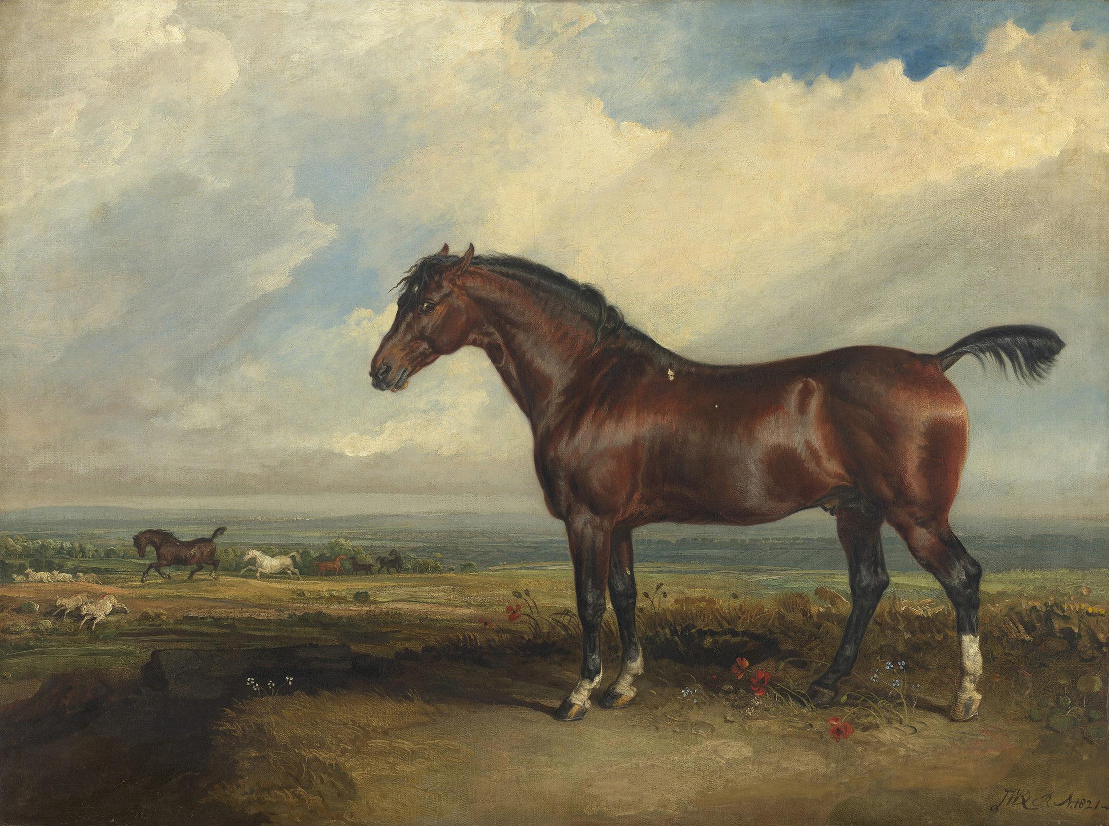 James Ward, Monitor