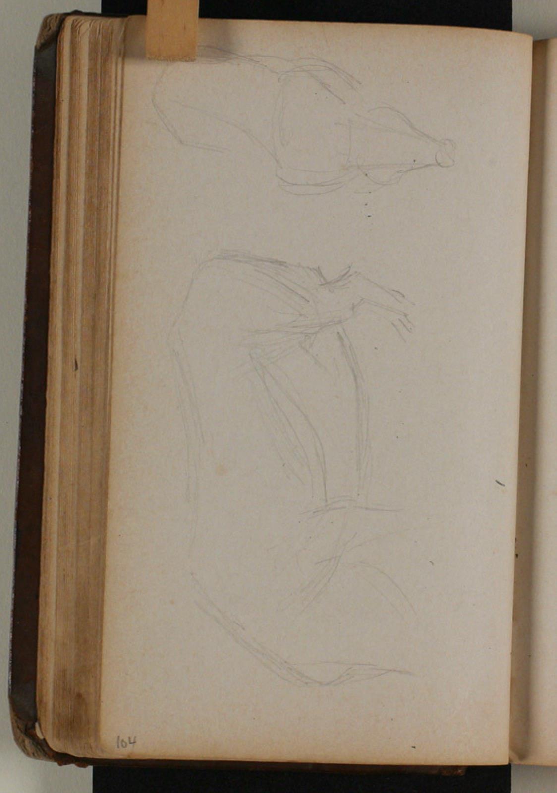 Niels Larsen Stevns, Studier af vildsvin