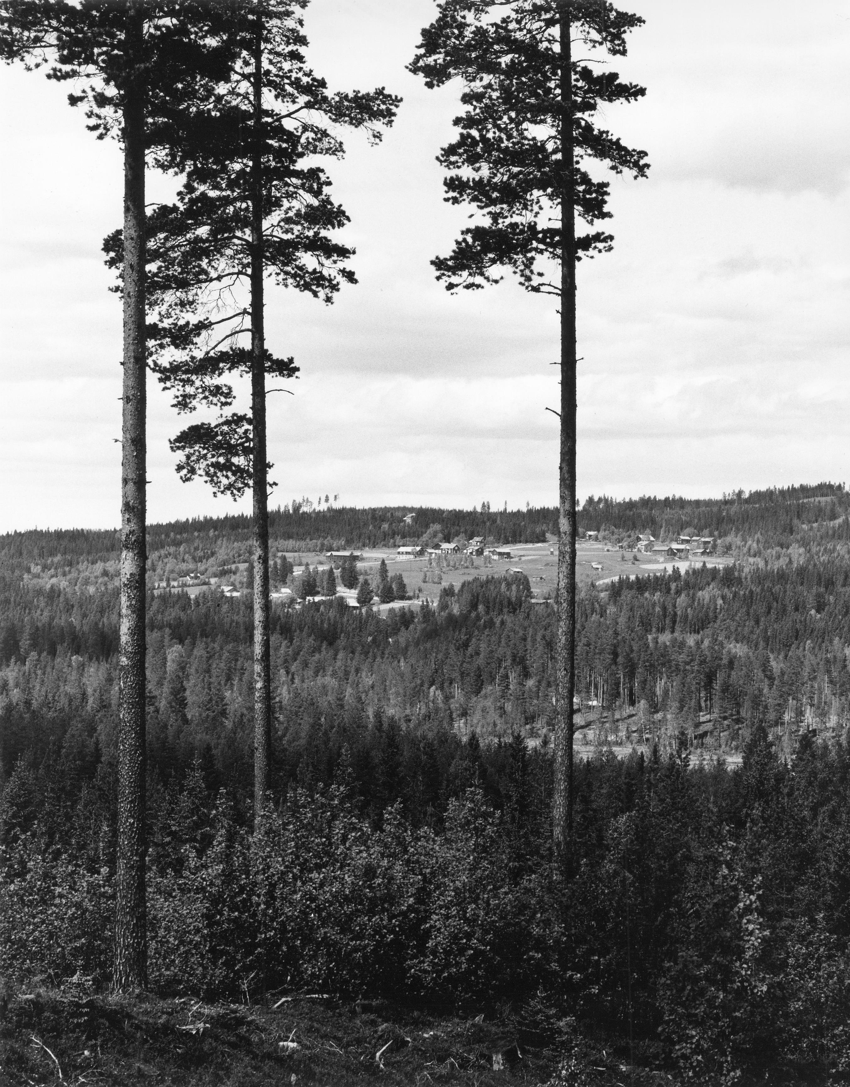 Pål-Nils Nilsson, Hästberg i Hälsingland