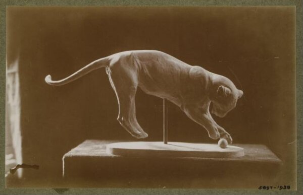 unknown, Photograph