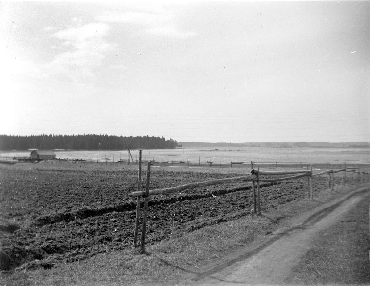 August Fredrik Schagerström, Arable land near Dalälven at Marma, Älvkarleby parish, Uppland May 1929