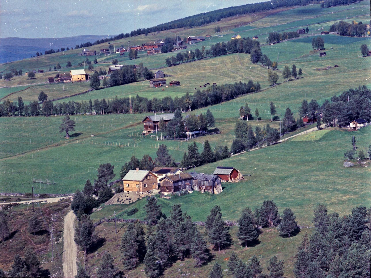 Widerøes Flyveselskap A/S, Gårdsbruk.
