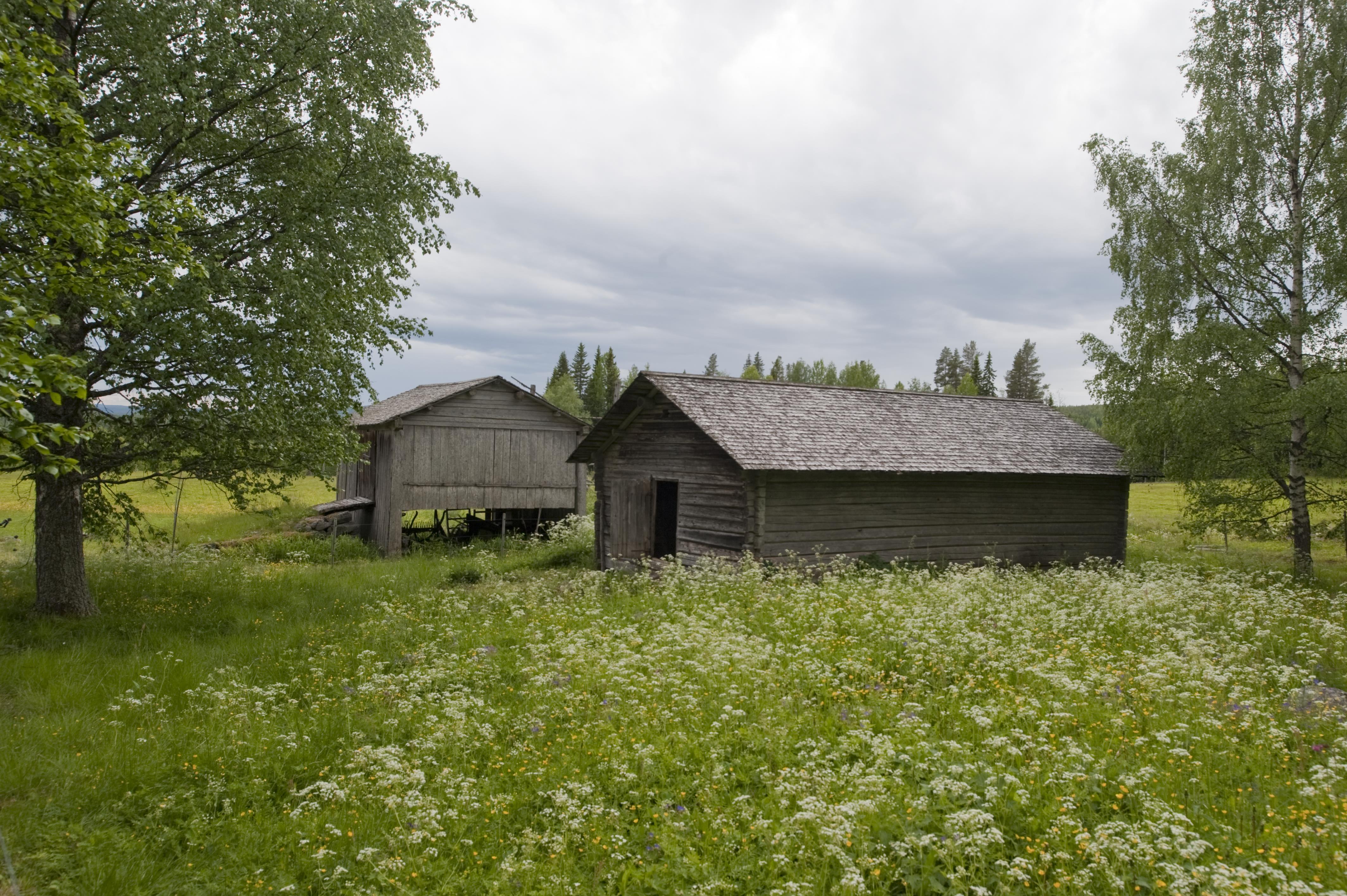 Bengt A Lundberg, Nordanstig Lindsjön 1:13