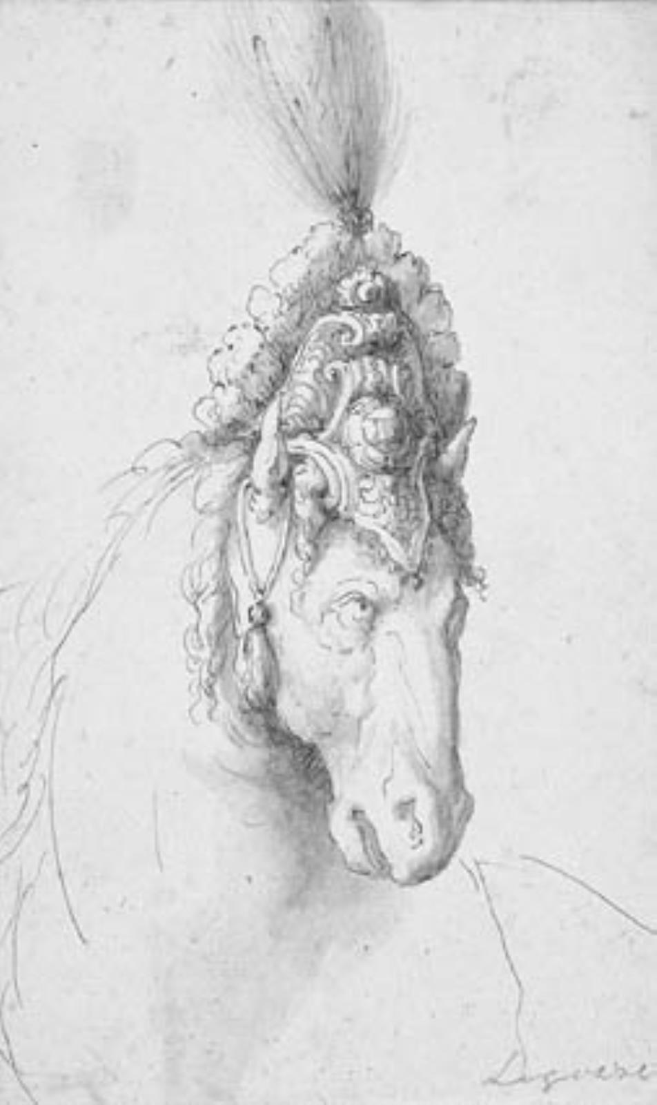 Jacopo Ligozzi, Hestehoved med prægtig prydelse