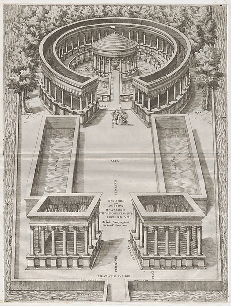 Anonymous, Ornithon Sive Aviarum, from "Speculum Romanae Magnificentiae"