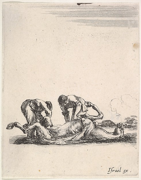 Stefano della Bella, Two men skinning a horse that is lying on the ground with its hooves in the air, from "Various cavalry exercises" (Diverses exercices de cavalerie)