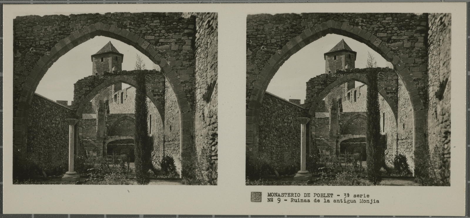 Desconegut, Monasterio de Poblet (Tarragona)