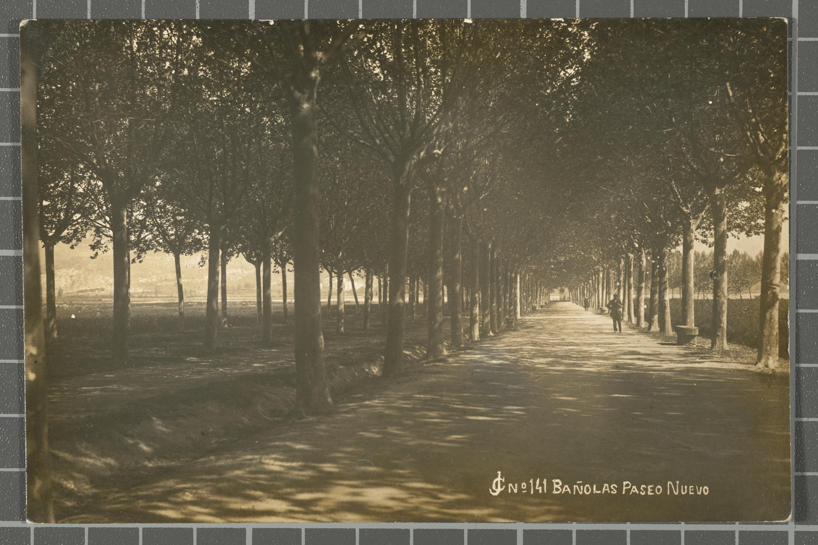 Desconegut, No. 141 - Bañolas. Paseo Nuevo