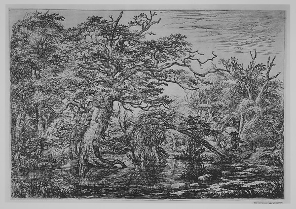 Jacob van Ruisdael, A Forest Marsh with Travelers on a Bank (The Travelers)