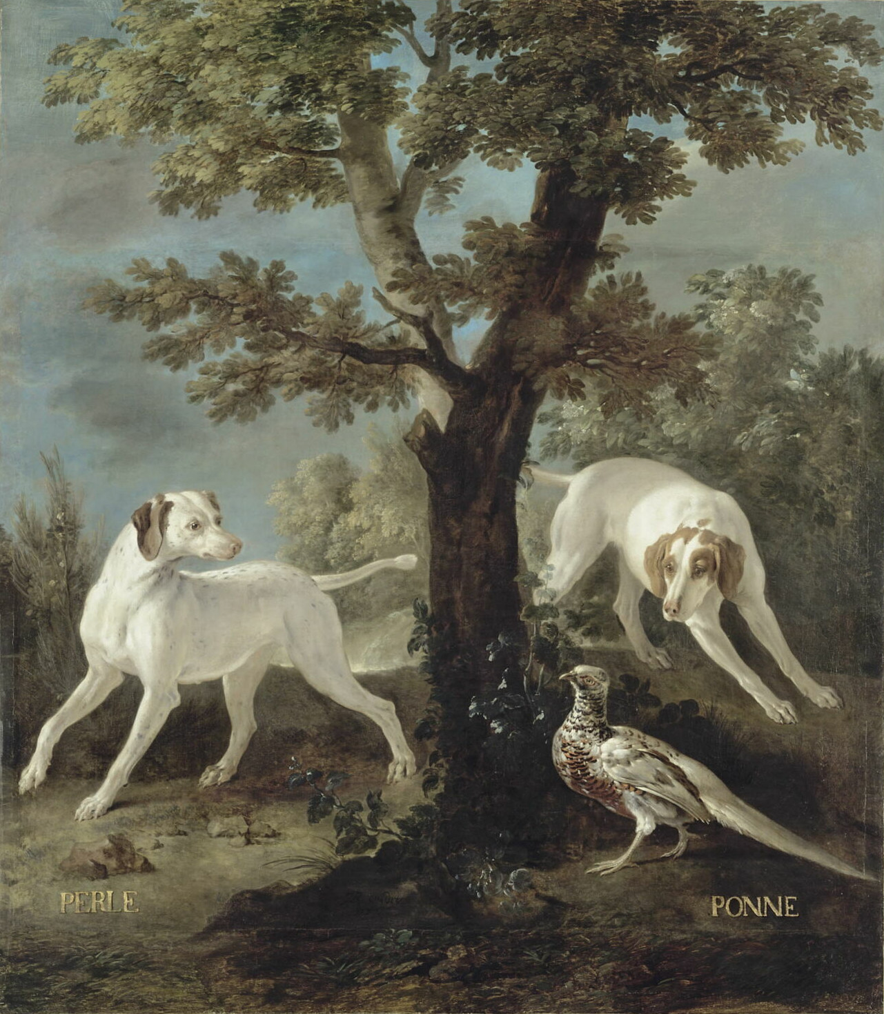 Alexandre-François Desportes, Perle et Ponne, chiennes de la meute de Louis XIV