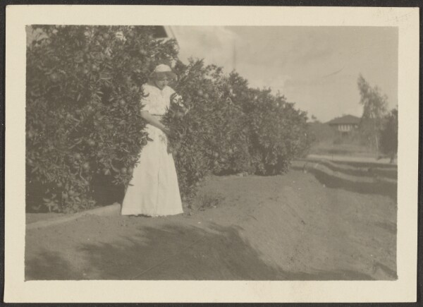 Louis Fleckenstein, [Florence in Orchard]