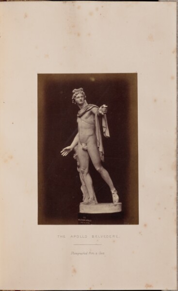 Edward Falkener, The Apollo Belvedere