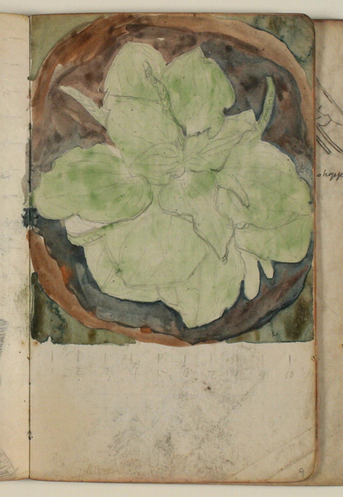Niels Larsen Stevns, Plantestudie