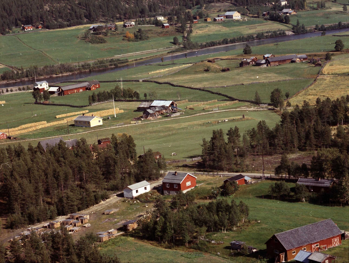 Widerøes Flyveselskap A/S, Gårdsbruk.