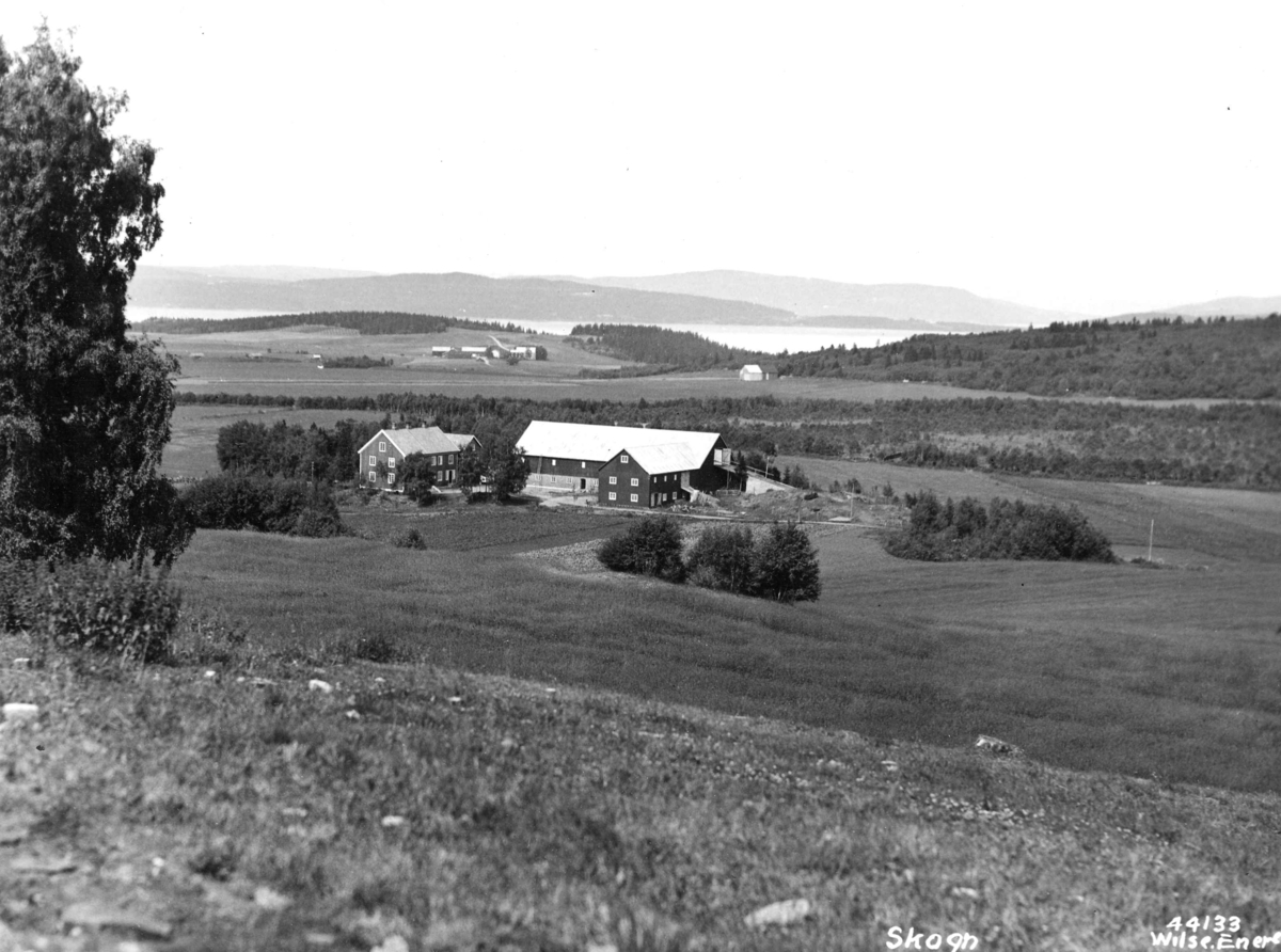 Anders Beer Wilse, Topografi