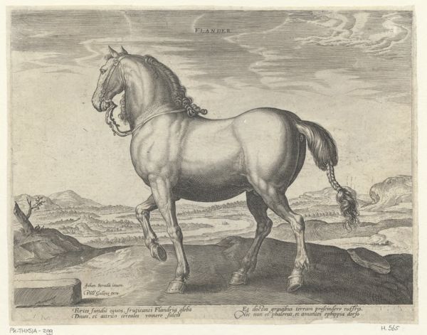 Collaert, Hans, (approximately 1530-1581), (printmaker), The stable of Don Juan of Austria: Flander